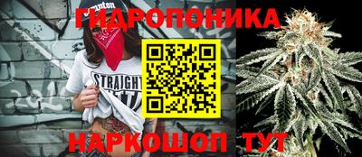 шишки Кинель