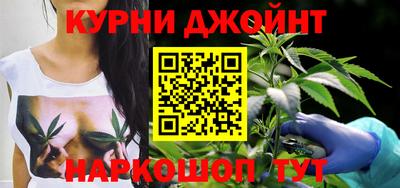 шишки Кинель