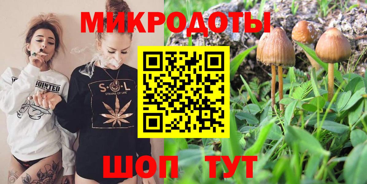 Лабинск  Псилоцибиновые грибы Psilocybe  Вход с VPN  Псилоцибиновые грибы ЛСД 
